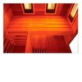 Sauna hibrida combi